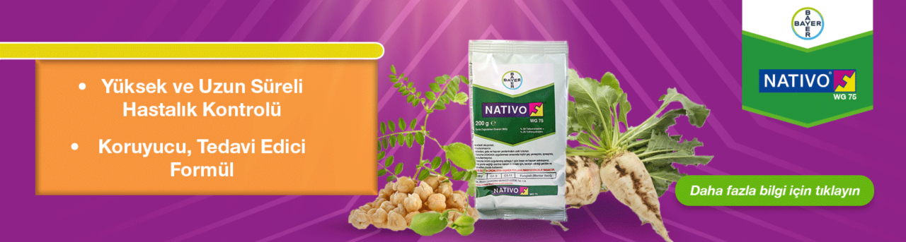 Nativo
